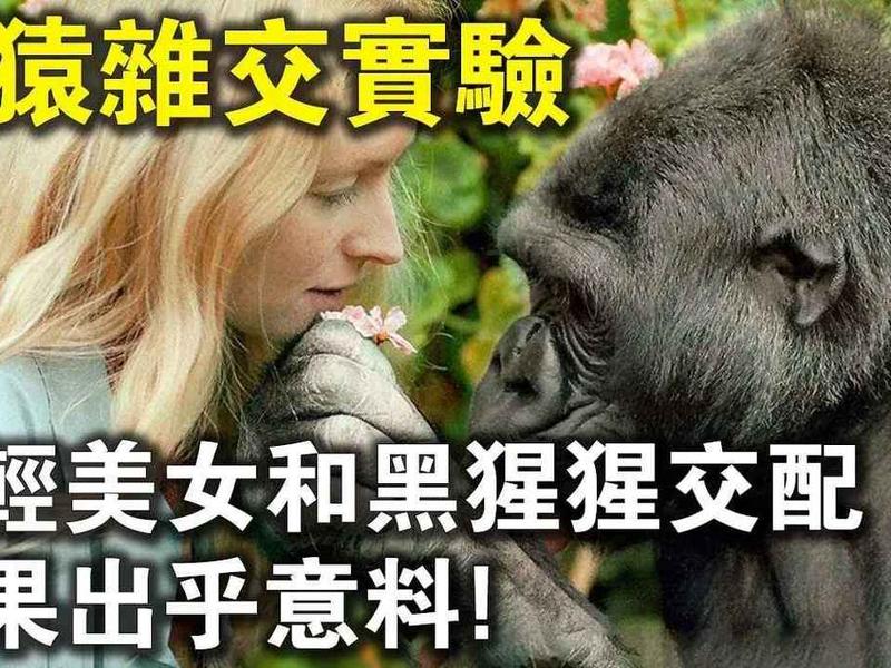 哪个动物和人类血缘最相近 哪个动物和人类血缘最相近呢