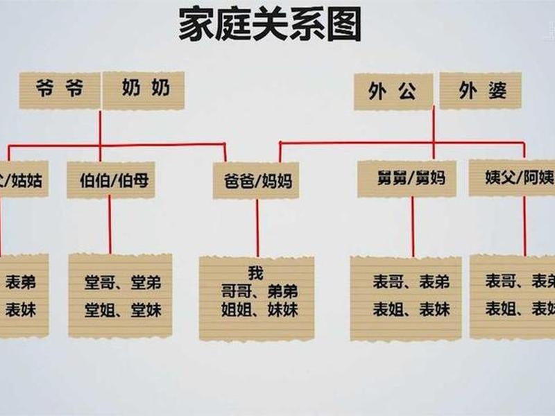 全科医生家庭关系图(全科医生家庭关系图表) 全科医生家庭关系图(全科医生家庭关系图表)