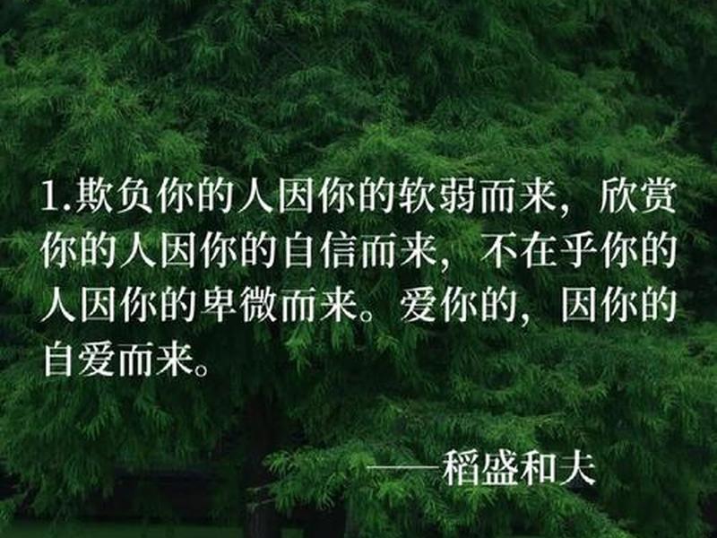 大道克己语录 - 大道克己经典语录 大道克己语录 - 大道克己经典语录