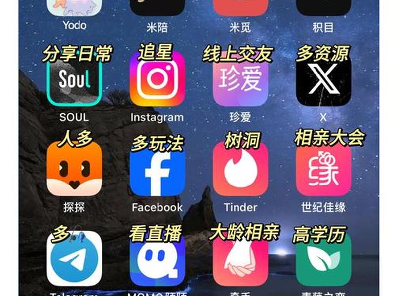 公共网络新社交，公共网络新社交app下载
