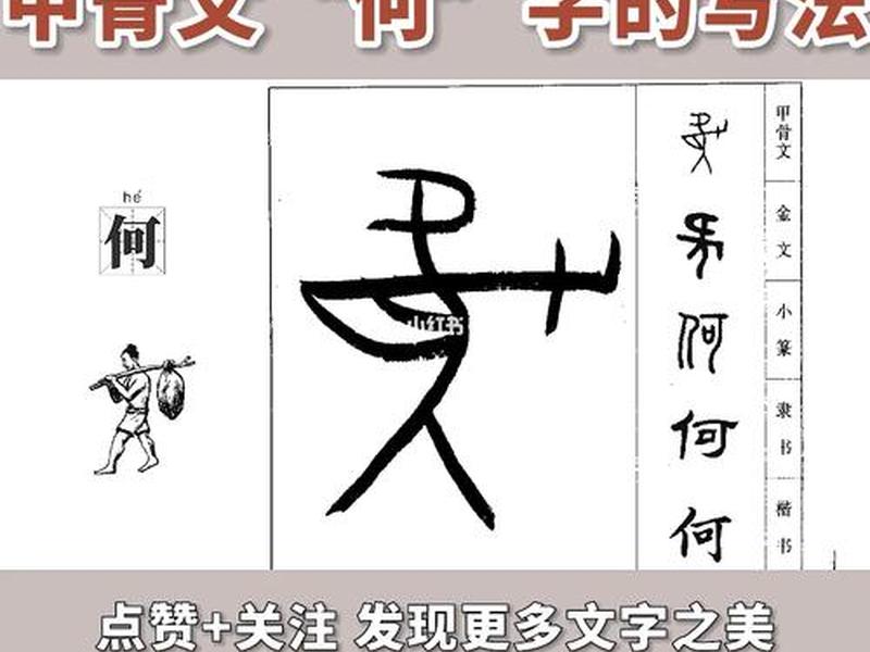 国学智慧课程心得体会、国学智慧课程心得体会总结