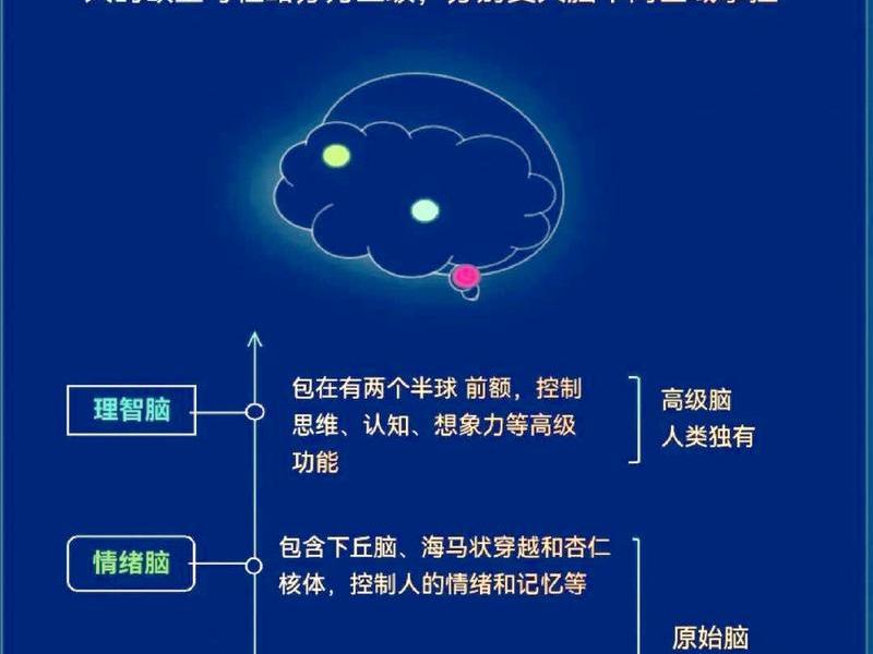 充电型人际关系心理学解析；充电系统的认知