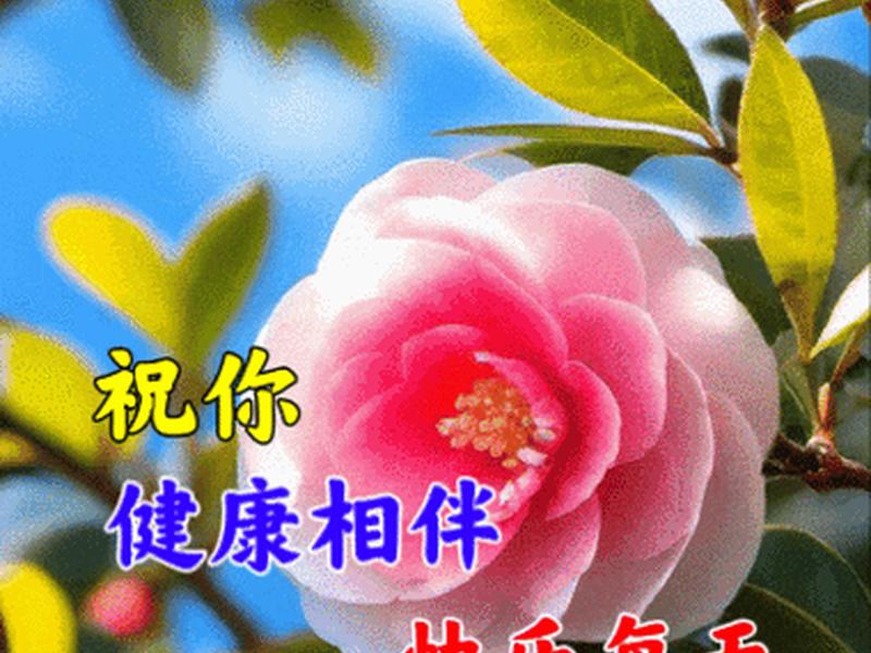 健康快乐的图片动态大全 健康快乐的图片动态大全大图 健康快乐的图片动态大全 健康快乐的图片动态大全大图