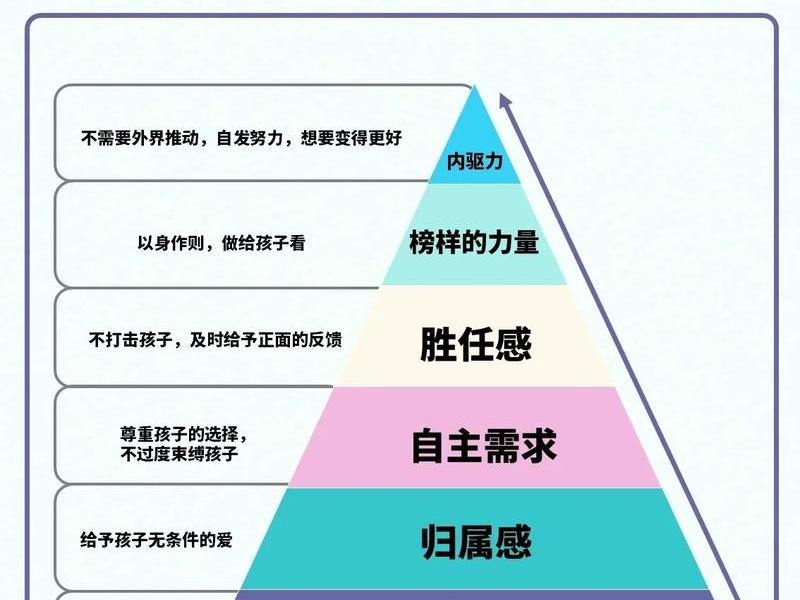 动力性心理治疗 - 动力性心理治疗包括
