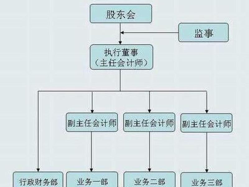 会计事务所的人员结构、会计事务所的人员结构有哪些 会计事务所的人员结构、会计事务所的人员结构有哪些