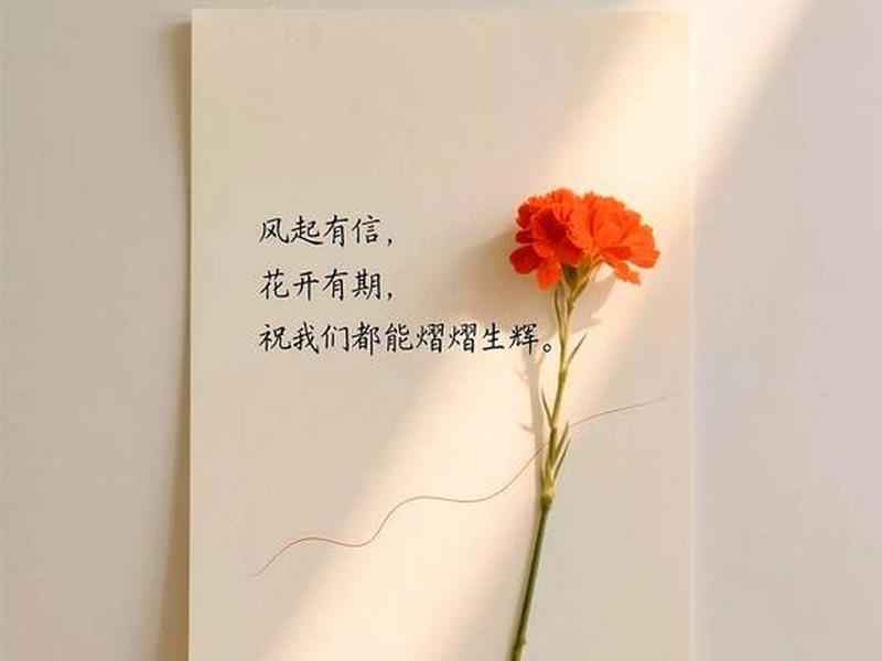 不擅长处理人际关系,所以不想结婚可以吗;不擅长处理人际关系的人 不擅长处理人际关系,所以不想结婚可以吗;不擅长处理人际关系的人