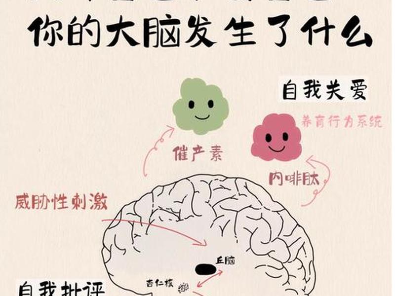 大脑差异对人际交往影响 大脑差异对人际交往影响有哪些 大脑差异对人际交往影响 大脑差异对人际交往影响有哪些