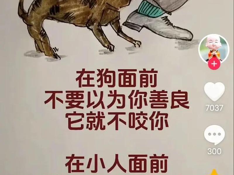 丑恶的人 丑恶的人性指的是什么 丑恶的人 丑恶的人性指的是什么