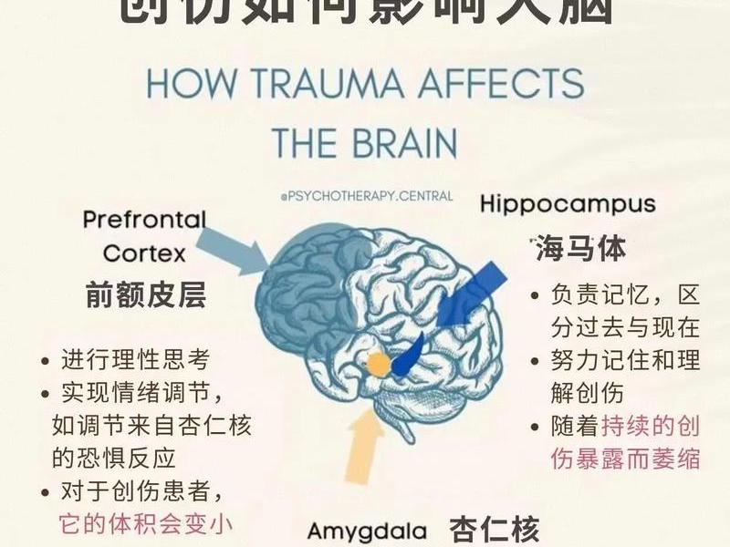 大脑机制对人际关系的影响,大脑机制对人际关系的影响是什么 大脑机制对人际关系的影响,大脑机制对人际关系的影响是什么