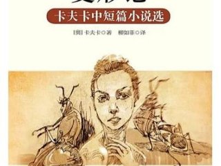 变形计人生哲学；变形计毁人生