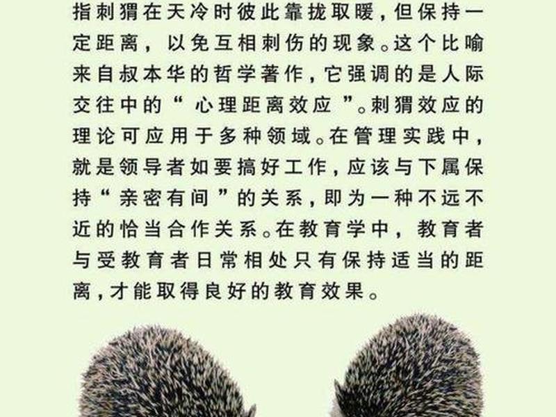 刺猬效应的定义,刺猬效应的定义和意义 刺猬效应的定义,刺猬效应的定义和意义
