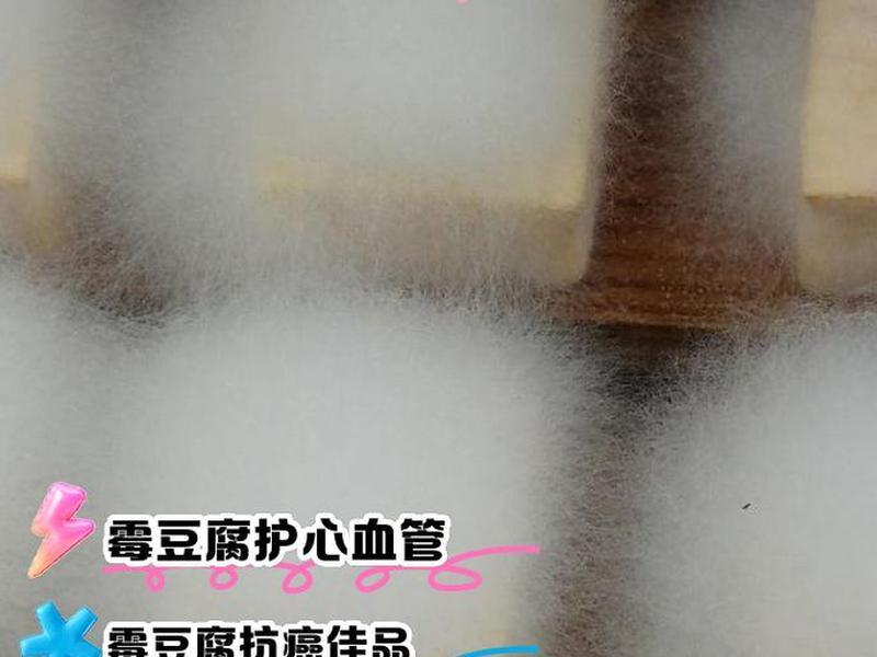 发霉的豆渣是否对人体有害吗(发霉的豆渣还有营养价值吗) 发霉的豆渣是否对人体有害吗(发霉的豆渣还有营养价值吗)