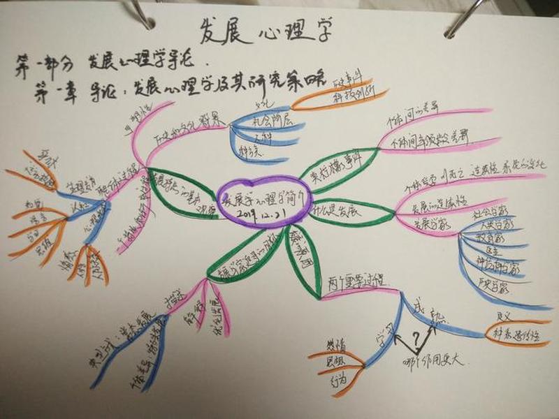 发展心理学带来的收获与感悟、发展心理学带来的收获与感悟作文 发展心理学带来的收获与感悟、发展心理学带来的收获与感悟作文