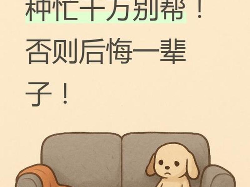 互相麻烦才是最好的相处之道(互相麻烦才是最好的相处之道!) 互相麻烦才是最好的相处之道(互相麻烦才是最好的相处之道!)