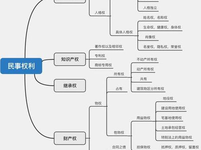 关系和权利 权利的相互关系 关系和权利 权利的相互关系