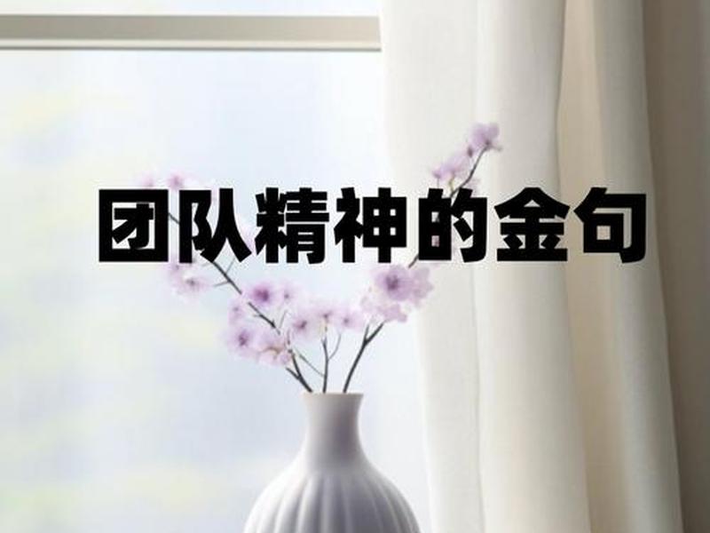 公司团队价值观经典语录(公司团队价值观经典语录简短) 公司团队价值观经典语录(公司团队价值观经典语录简短)