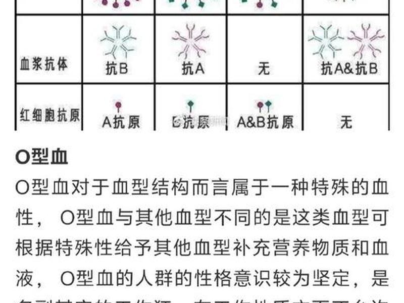 哪个血型的人身体比较健康 哪个血型的人身体比较健康呢 哪个血型的人身体比较健康 哪个血型的人身体比较健康呢