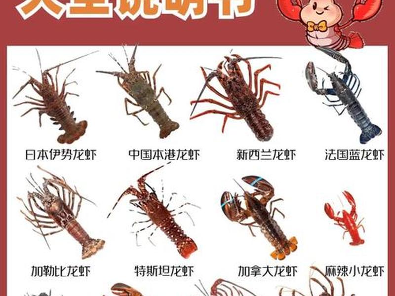 大龙虾怎么区分活和死，大龙虾怎么区分种类