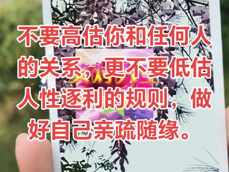 别高估关系含义解析,别高估关系,别低估自己 别高估关系含义解析,别高估关系,别低估自己