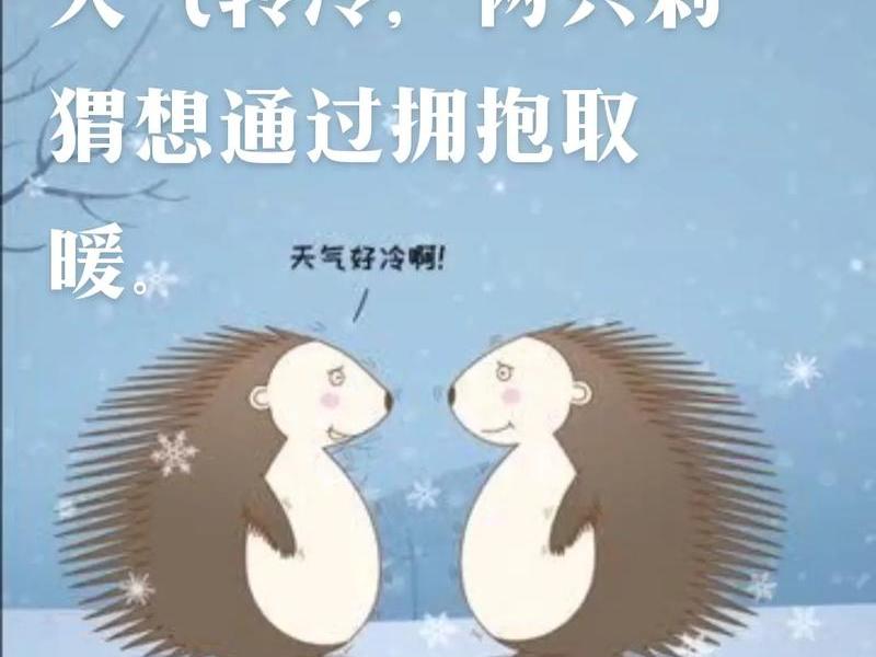 刺猬效应说明人际关系可有可无;刺猬法则对人际关系的启示 刺猬效应说明人际关系可有可无;刺猬法则对人际关系的启示