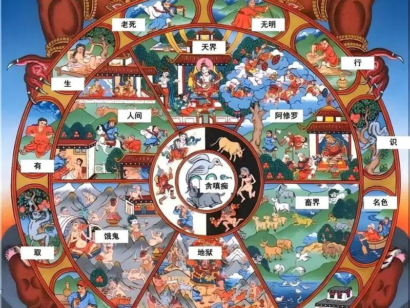 佛教理论的出发点;佛教理论的基本出发点 佛教理论的出发点;佛教理论的基本出发点