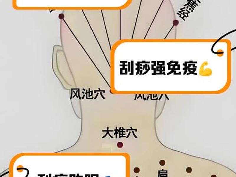 刮痧的适应人群;刮痧的适应人群包括 刮痧的适应人群;刮痧的适应人群包括