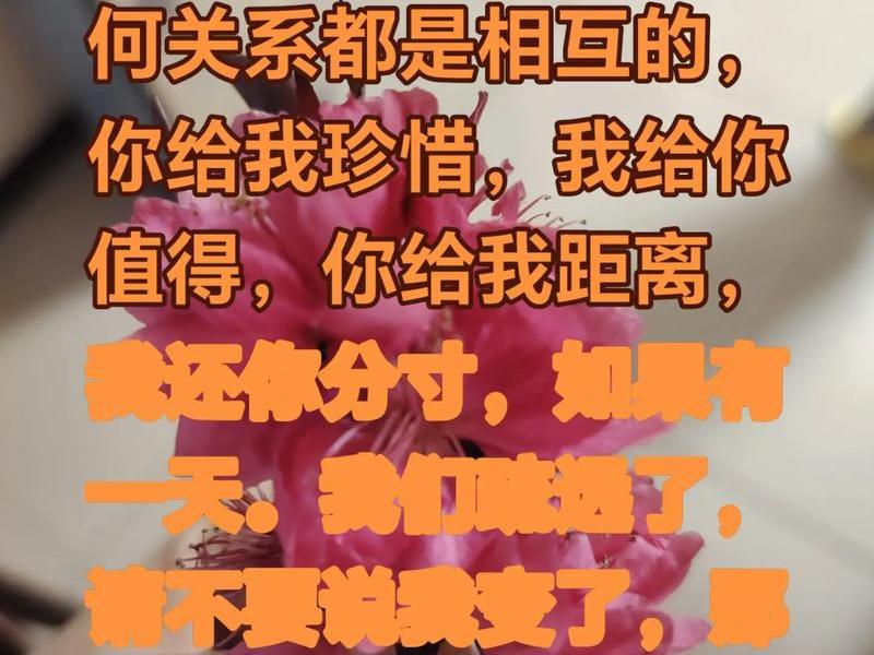人和人之间的关系都是利益关系、人和人之间都是利益关系的说说 人和人之间的关系都是利益关系、人和人之间都是利益关系的说说