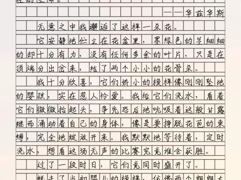 和谐作文800字、和谐作文800字 高中 和谐作文800字、和谐作文800字 高中