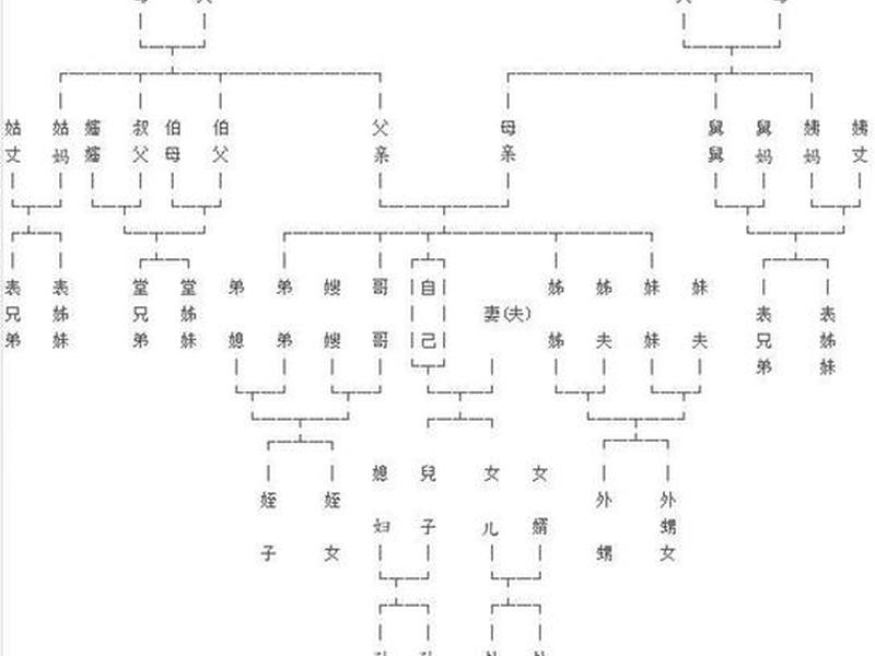 亲人血缘关系比例 亲人血缘关系比例是多少