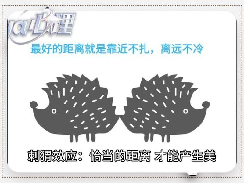 刺猬效应人与人之间的心理距离、刺猬效应是指在人际交往中人和人之间要保持适当的距离 刺猬效应人与人之间的心理距离、刺猬效应是指在人际交往中人和人之间要保持适当的距离