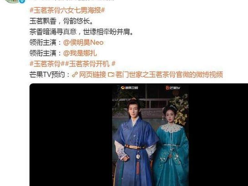 女婿人物关系图、女婿人物关系图片