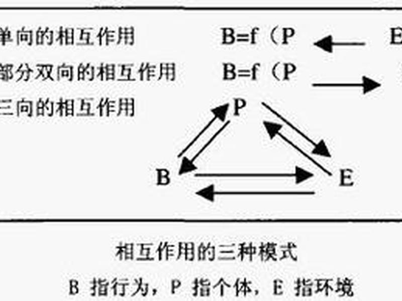 决定关系的三个因素,决定关系的三个因素是什么 决定关系的三个因素,决定关系的三个因素是什么