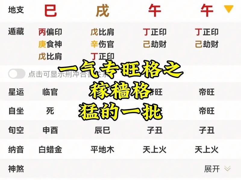 从旺格案例解析、从旺格八字实例 从旺格案例解析、从旺格八字实例