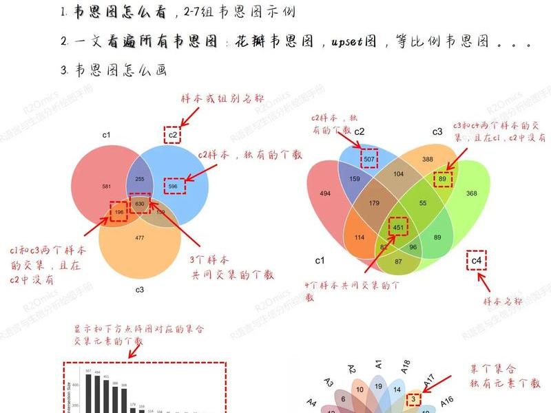 echarts简单关系图，echarts好看的关系图