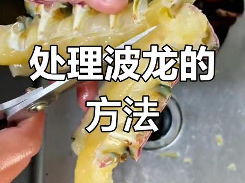 大龙虾如何处理干净（大龙虾怎么弄干净）