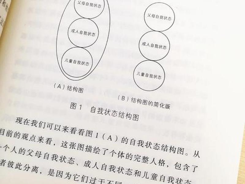 《人间游戏》的具体内容是什么 - 《人间游戏》的具体内容是什么意思 《人间游戏》的具体内容是什么 - 《人间游戏》的具体内容是什么意思