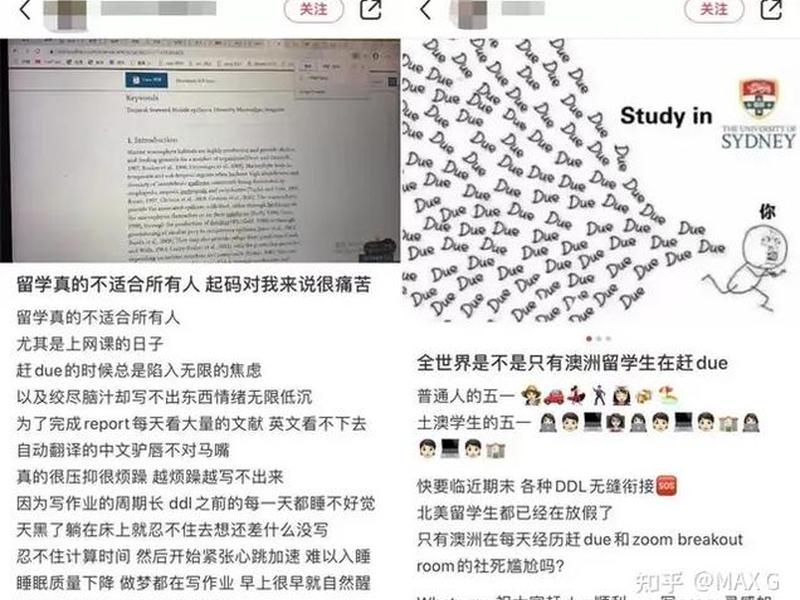 00后社交趋势分析、00后社交趋势分析论文