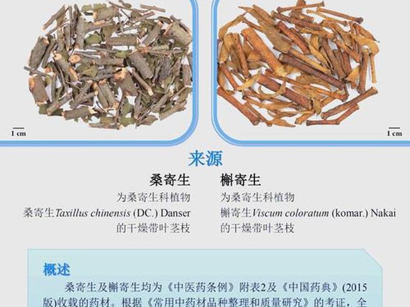 何谓寄生关系 - 何谓寄生关系,寄生,共栖,共生如何区别
