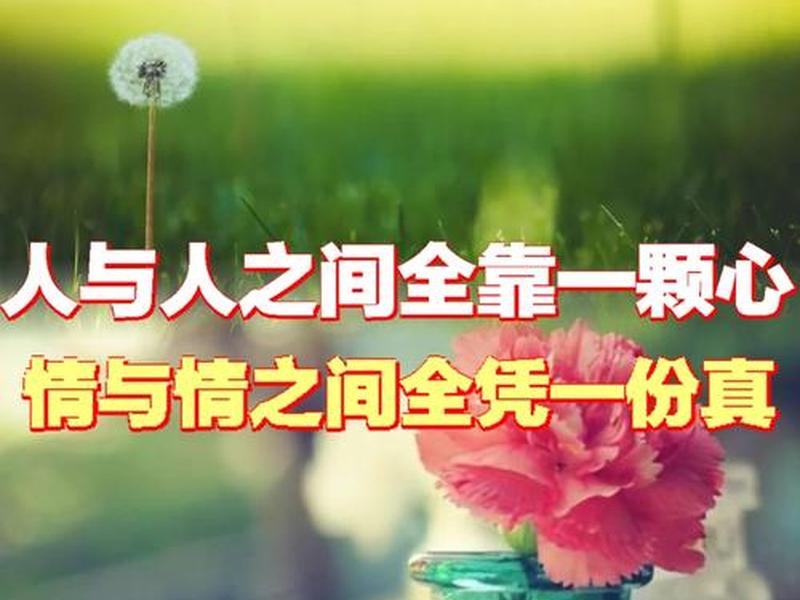 和谐人际关系讲座心得体会;和谐人际关系讲座心得体会总结 和谐人际关系讲座心得体会;和谐人际关系讲座心得体会总结