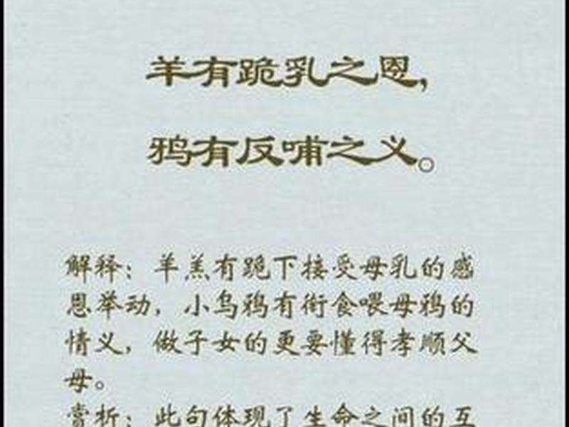 国学智慧之人际关系教案 国学智慧中的人际关系之道 国学智慧之人际关系教案 国学智慧中的人际关系之道