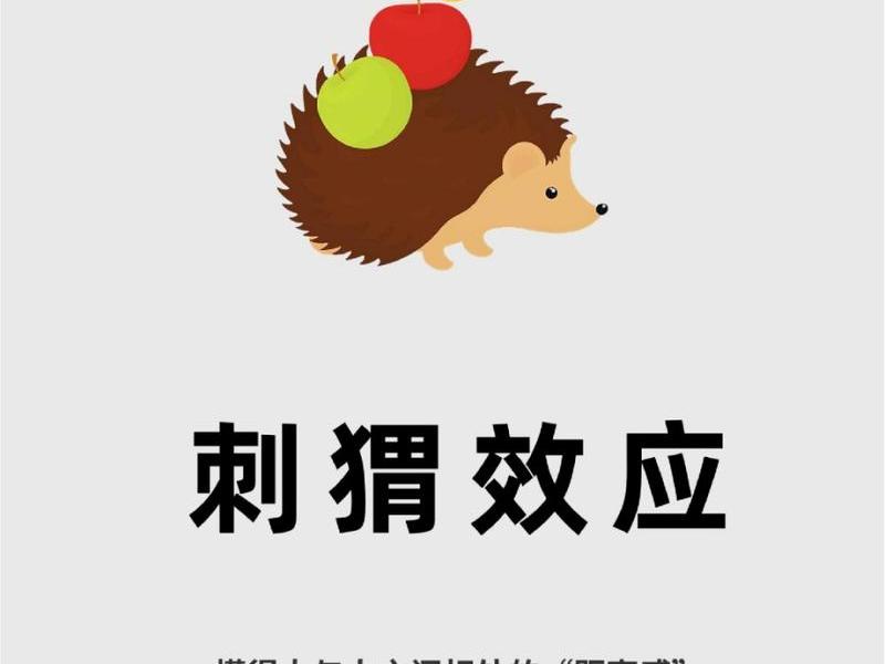 刺猬效应是什么意思(刺猬效应指什么意思) 刺猬效应是什么意思(刺猬效应指什么意思)