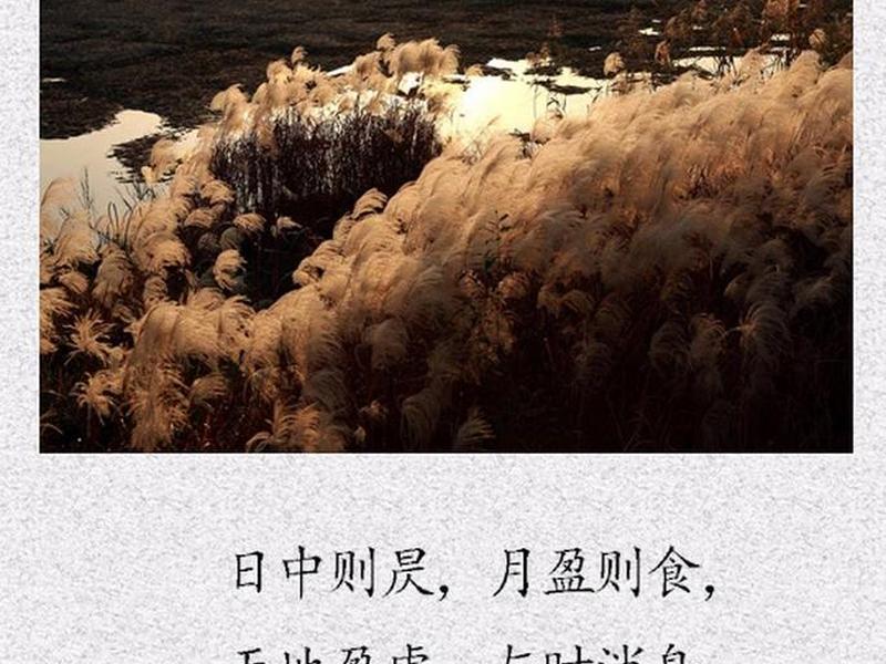 丰卦测人际关系怎么样、丰卦之人特点 丰卦测人际关系怎么样、丰卦之人特点