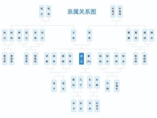 公务员亲属关系图、公务员亲属关系图表