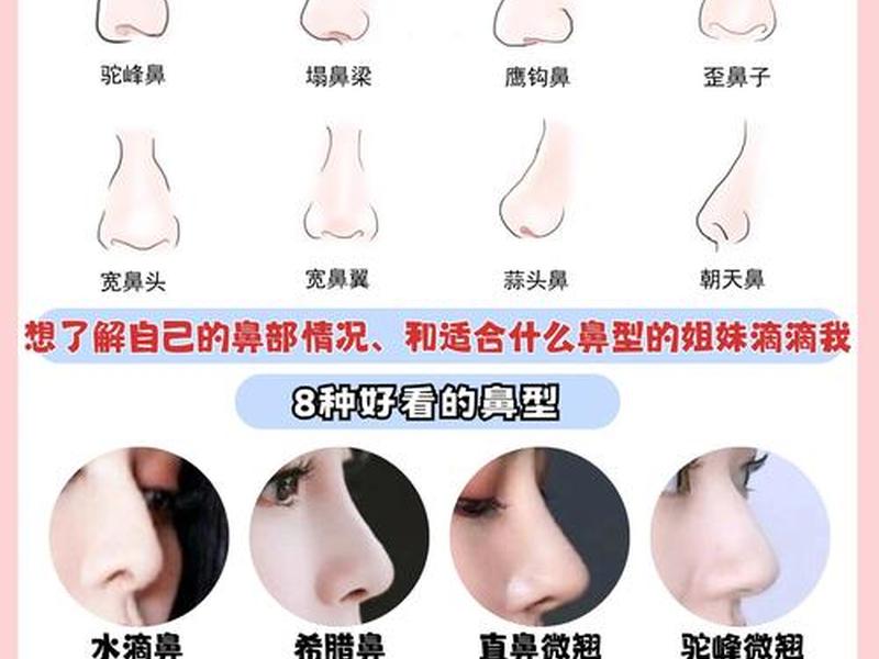 哪种鼻子好;哪种鼻子好看漂亮排行 哪种鼻子好;哪种鼻子好看漂亮排行