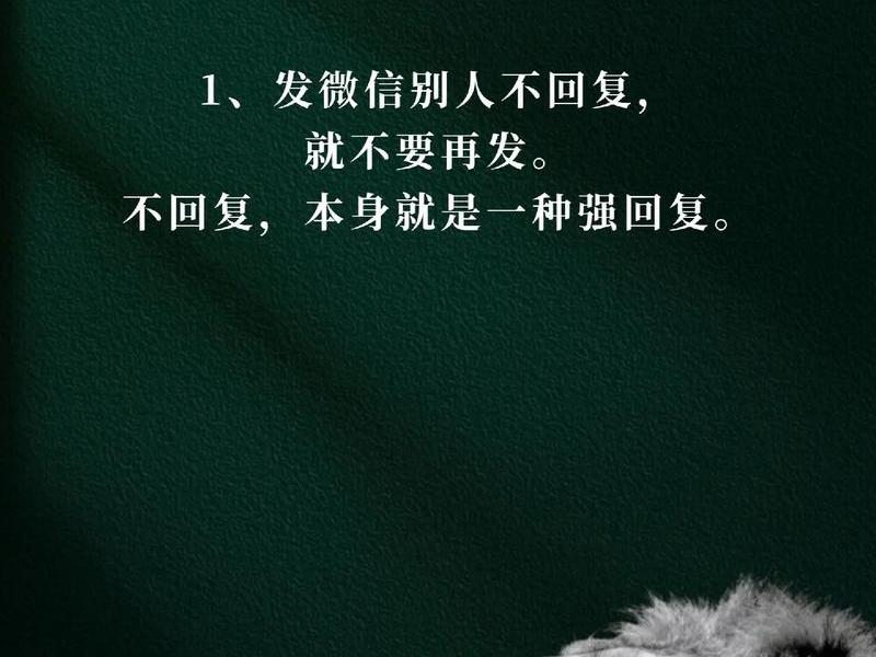 不懂人情世故怎么相处;不懂人情世故怎么相处的 不懂人情世故怎么相处;不懂人情世故怎么相处的