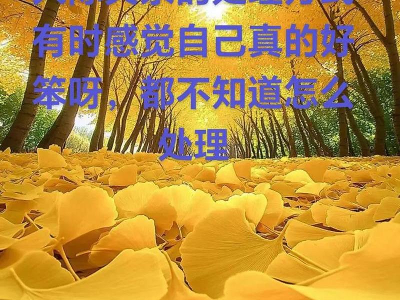 处理人际关系比较困难的是 处理人际关系比较困难的是什么人 处理人际关系比较困难的是 处理人际关系比较困难的是什么人