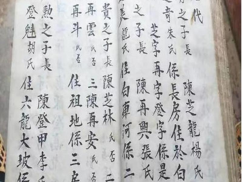 光绪后人 光绪后人网络语 光绪后人 光绪后人网络语