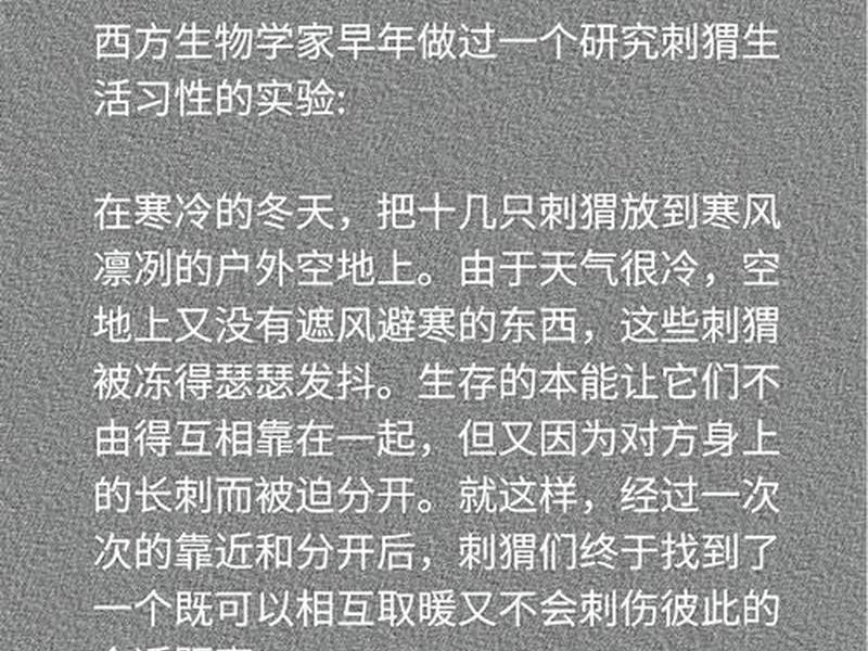 刺猬效应和人际关系 刺猬效应和人际关系有关吗 刺猬效应和人际关系 刺猬效应和人际关系有关吗