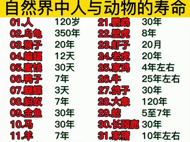 人的寿命和人际关系有关吗、人的寿命和人际关系有关吗知乎 人的寿命和人际关系有关吗、人的寿命和人际关系有关吗知乎