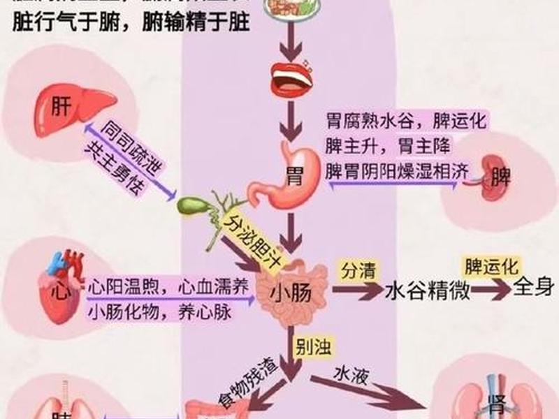 内科科室医患关系 内科科室医患关系图 内科科室医患关系 内科科室医患关系图